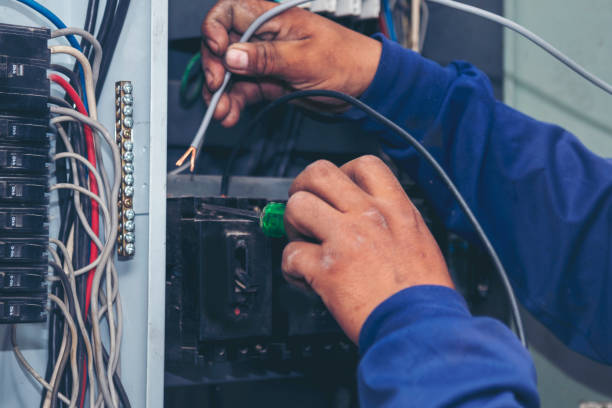 Best Electrical Repair Services  in Rapid City, MI