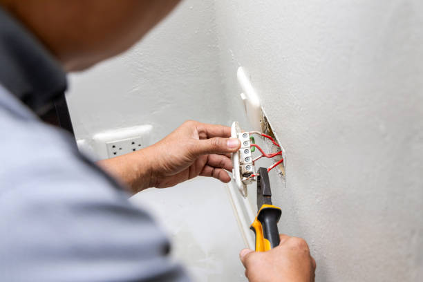 Best Electrical Rewiring Services  in Rapid City, MI