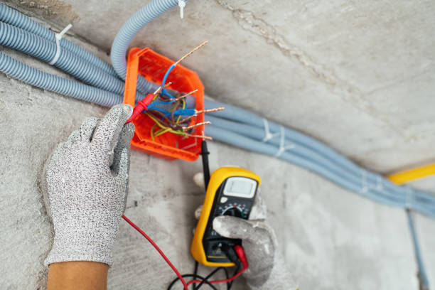 Best Local Electrician Companies  in Rapid City, MI